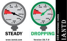 Load image into Gallery viewer, CCR Response Cards - 23.7.0SH