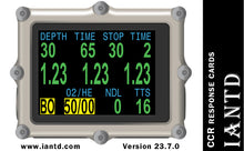 Load image into Gallery viewer, CCR Response Cards - 23.7.0SH