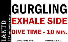 Load image into Gallery viewer, CCR Response Cards - 23.7.0SH