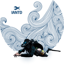 Load image into Gallery viewer, Rebreather Diver T-Shirt