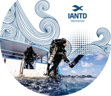 Load image into Gallery viewer, Rebreather Giant Stride T-Shirt