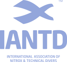 Load image into Gallery viewer, IANTD Blue Logo T-Shirt