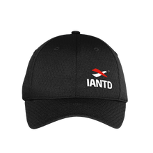 Load image into Gallery viewer, Pro Mesh Cap - IANTD Logo/Black