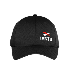 Pro Mesh Cap - IANTD Logo/Black