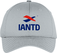 Load image into Gallery viewer, Pro Mesh Cap - IANTD Logo/Grey