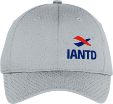 Load image into Gallery viewer, Pro Mesh Cap - IANTD Logo/Grey