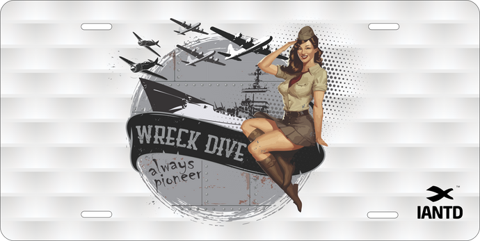 Lincese Plate - Wreck Pinup Girl